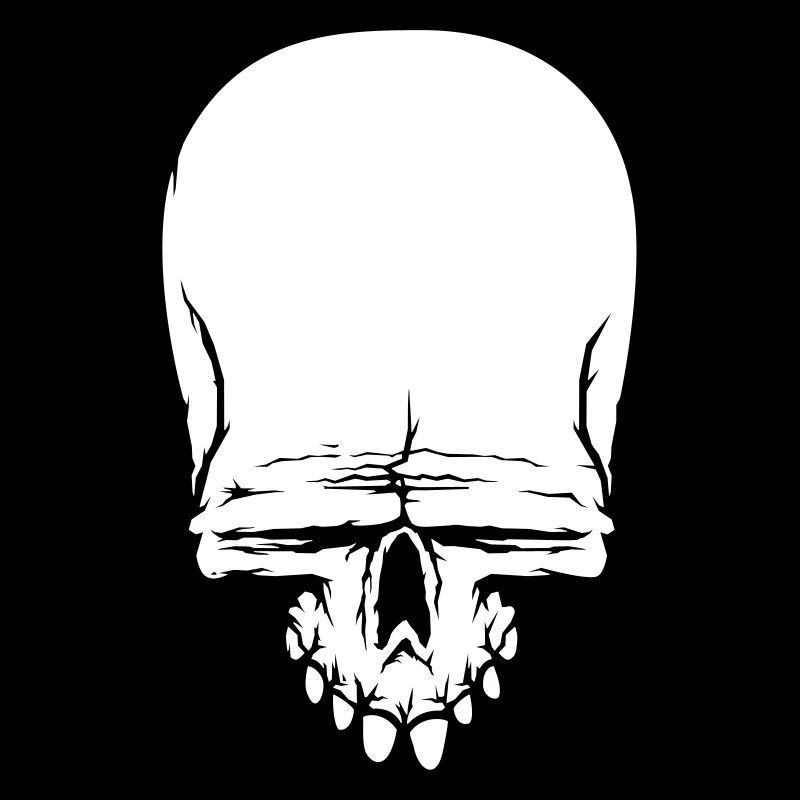 crâne skull
