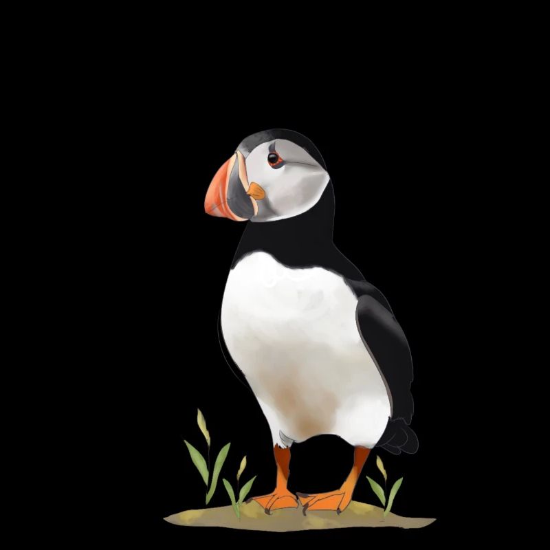 Puffin monk
