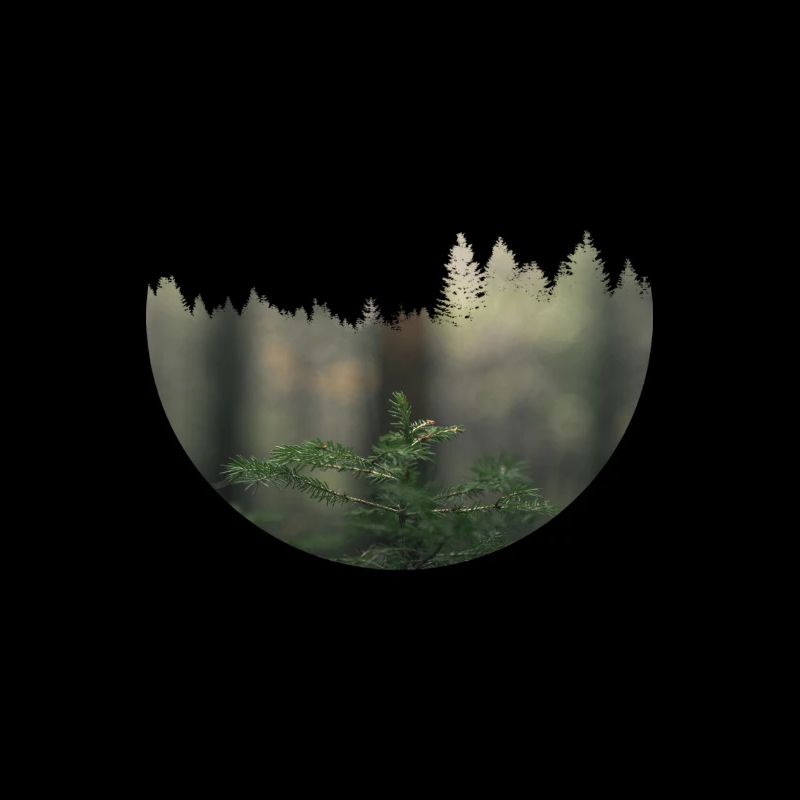 wald