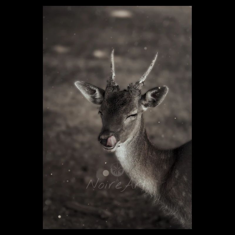 Happy Deer