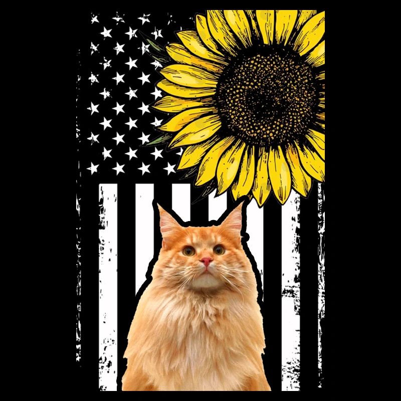 Orange Cat