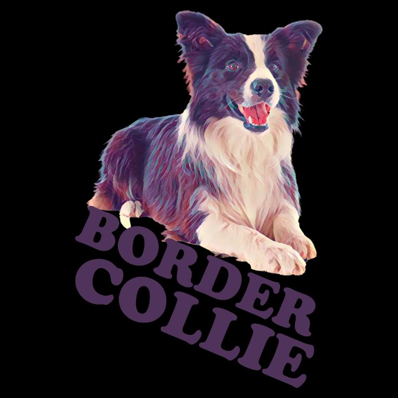 Border collie 3