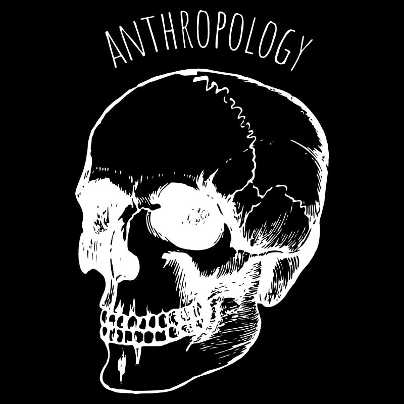 anthropology skull