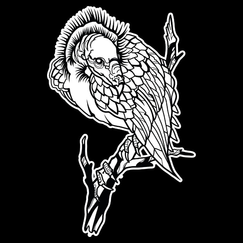 Vautour // Illustration