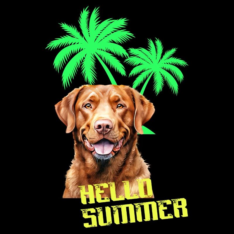 Hello Summer! Ein Sommertag mit deinem Labrador