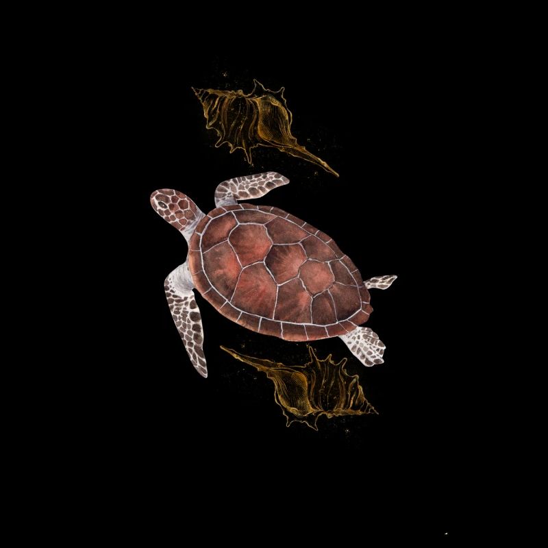 Sea turtle