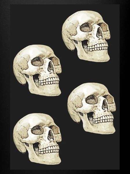 Nova Skull