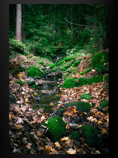 Waldbach