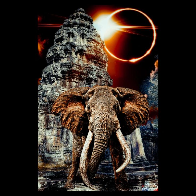 elephant final