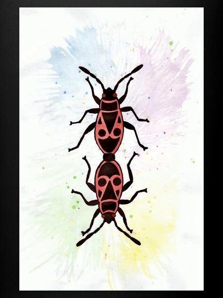Firebugs