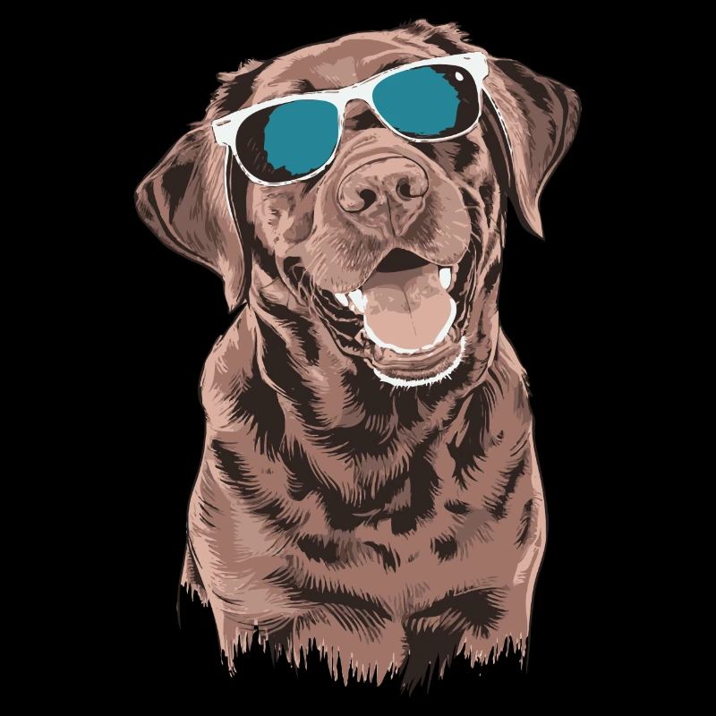 Brauner Labrador mit Sonnenbrille