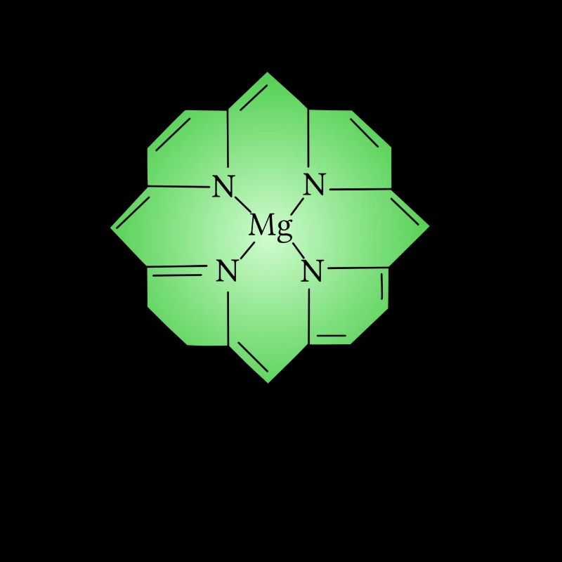Chlorophyll
