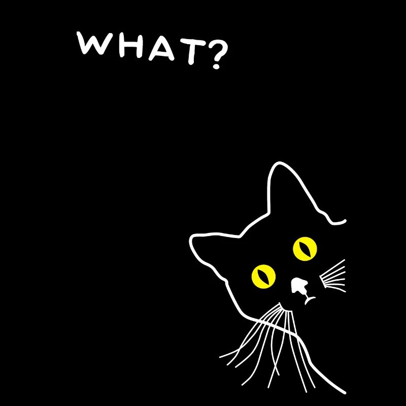 Chat curieux