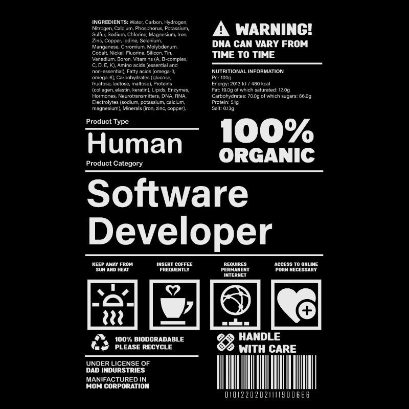 Software Developer