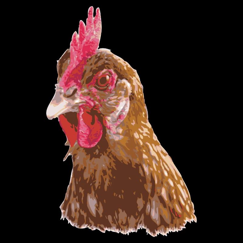 Hühnerillustration lebendigen Farben
