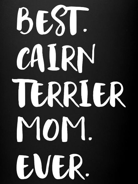Cairn Terrier