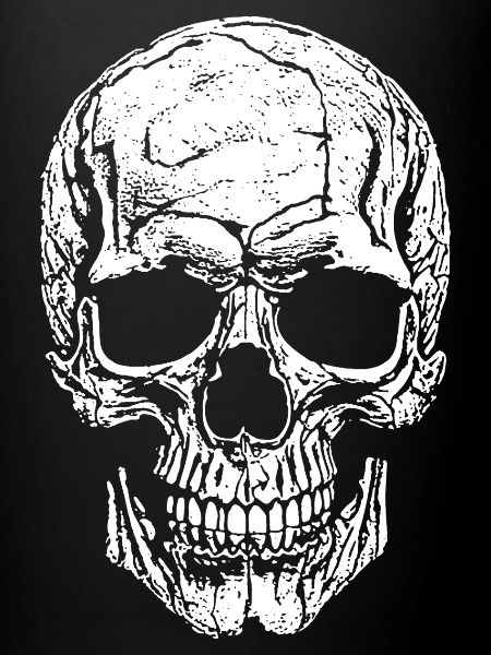 Skull