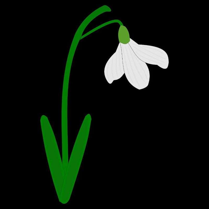 Perce-neige Mois de naissance de janvier Fleur Anniversaire