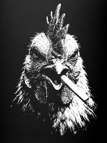 Graphique de poule fumante