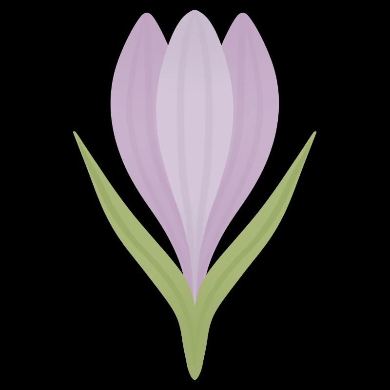 Lilac Crocus Bloom Illustration