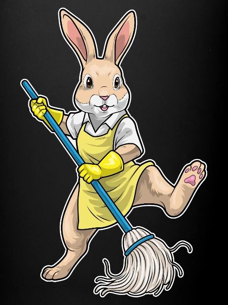 Rabbit Cleaner Mop Cleaning