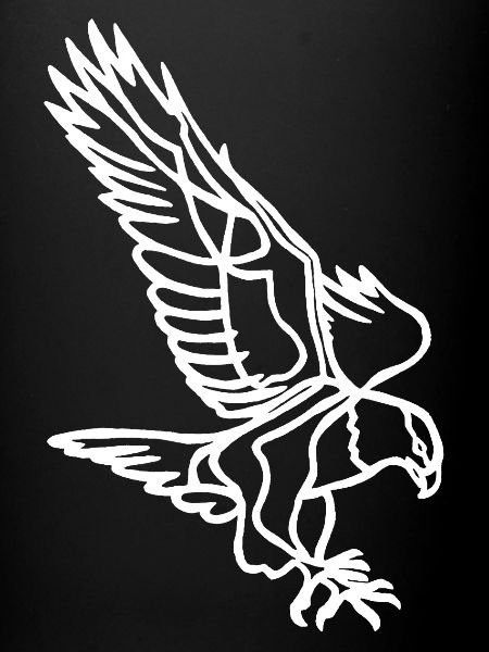 White Eagle in Flight