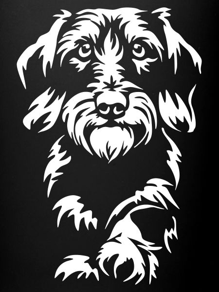 Dachshund "Black Edition"