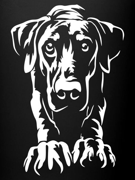 Doberman « Édition Noire »