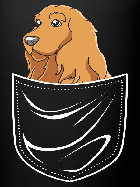 Cocker Spaniel
