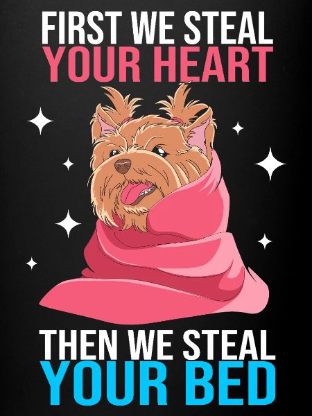 Yorkshire Terrier