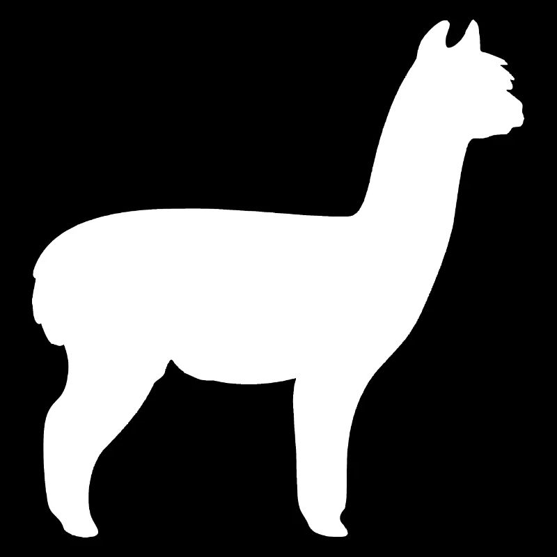alpaca