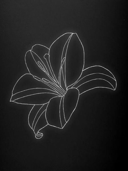 Lily