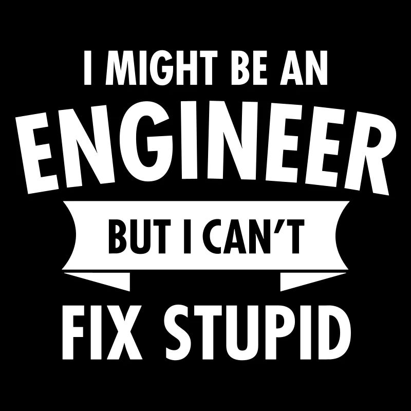 Geek Engineer Can't Fix Stupid Ingenieur