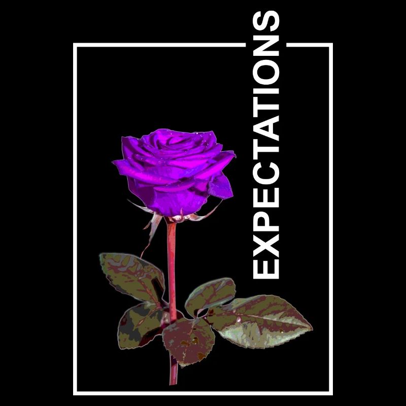 Rose Expectaions esthétique