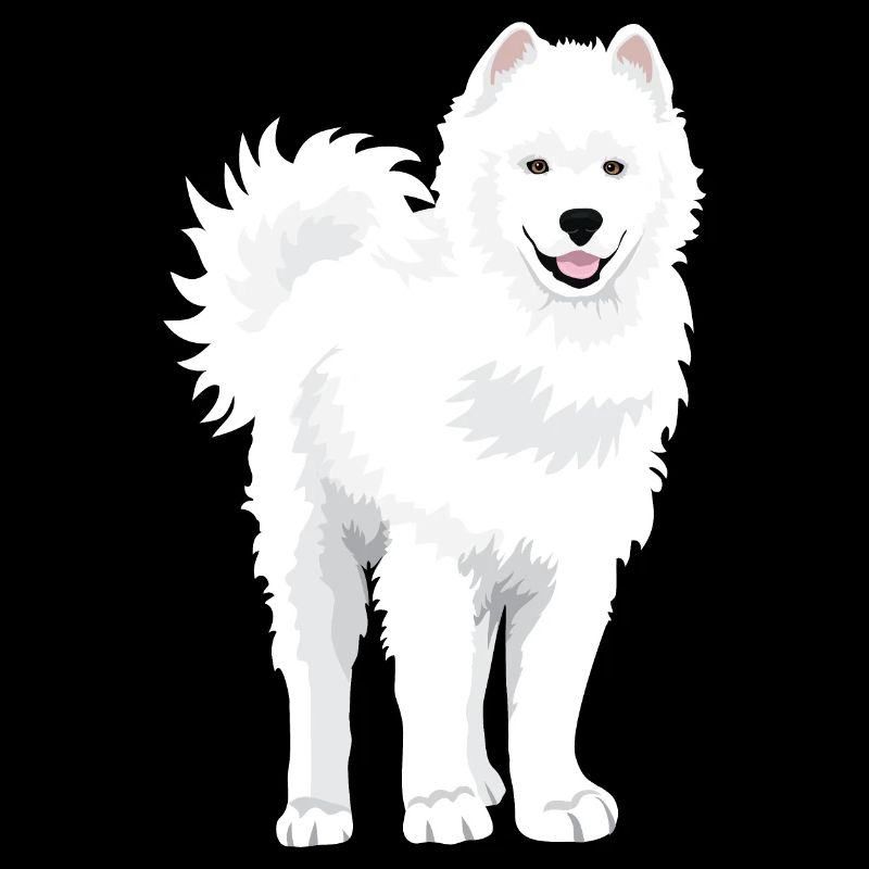 Mignon chien Samoyède blanc comme neige