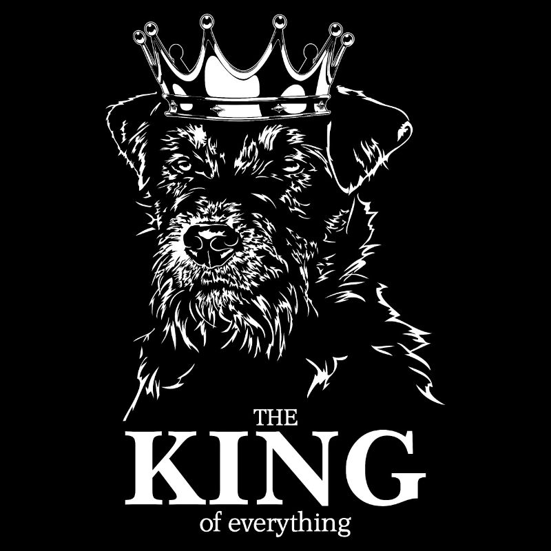 Deutscher Jagdterrier King of everything Wilsigns