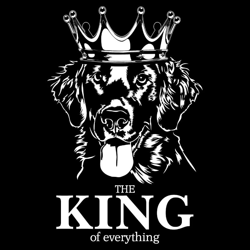 Flat Coated Retriever King of everything Hunde