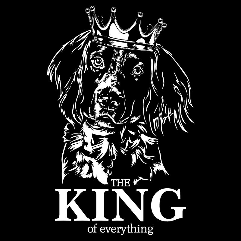 Petit Münsterlander Roi de tout Chiens