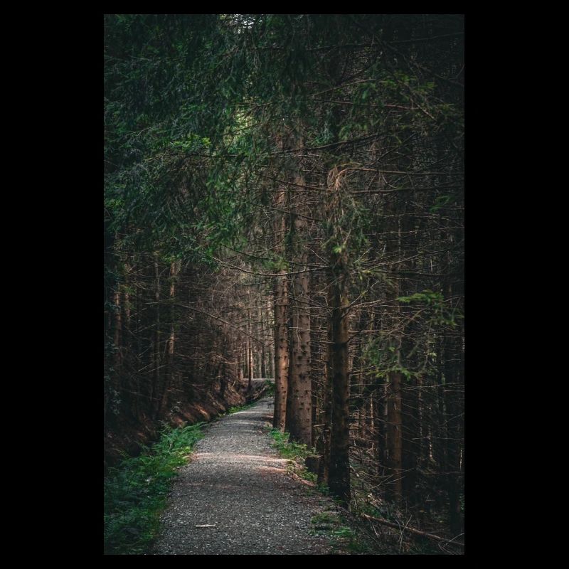 Waldweg