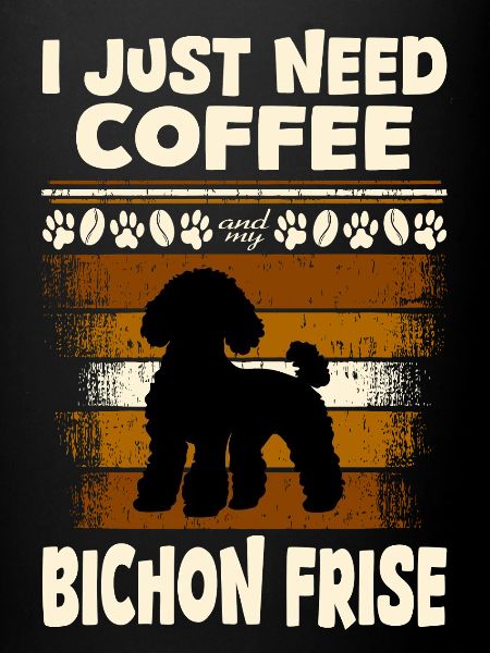 Bichon Frise
