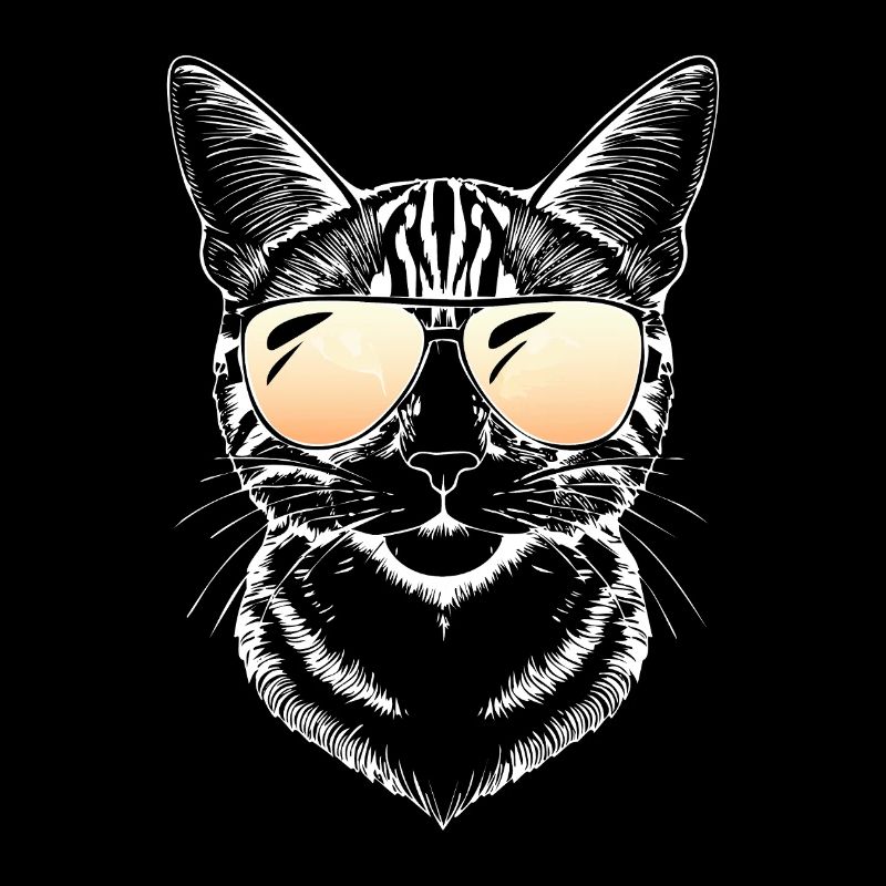 Katze Cat