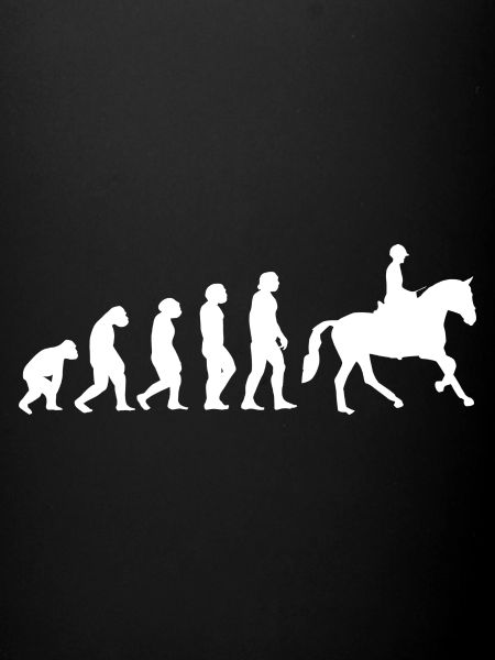 Evolution Reiter