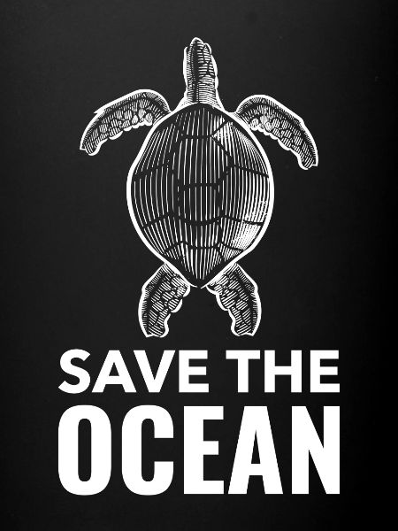 Ocean Turtle