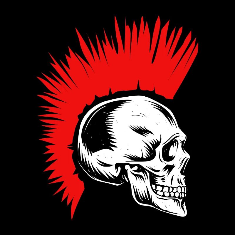 Punker tête de mort os iroquois coiffeur rocker