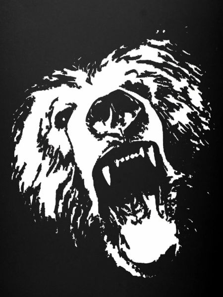 roaring bear