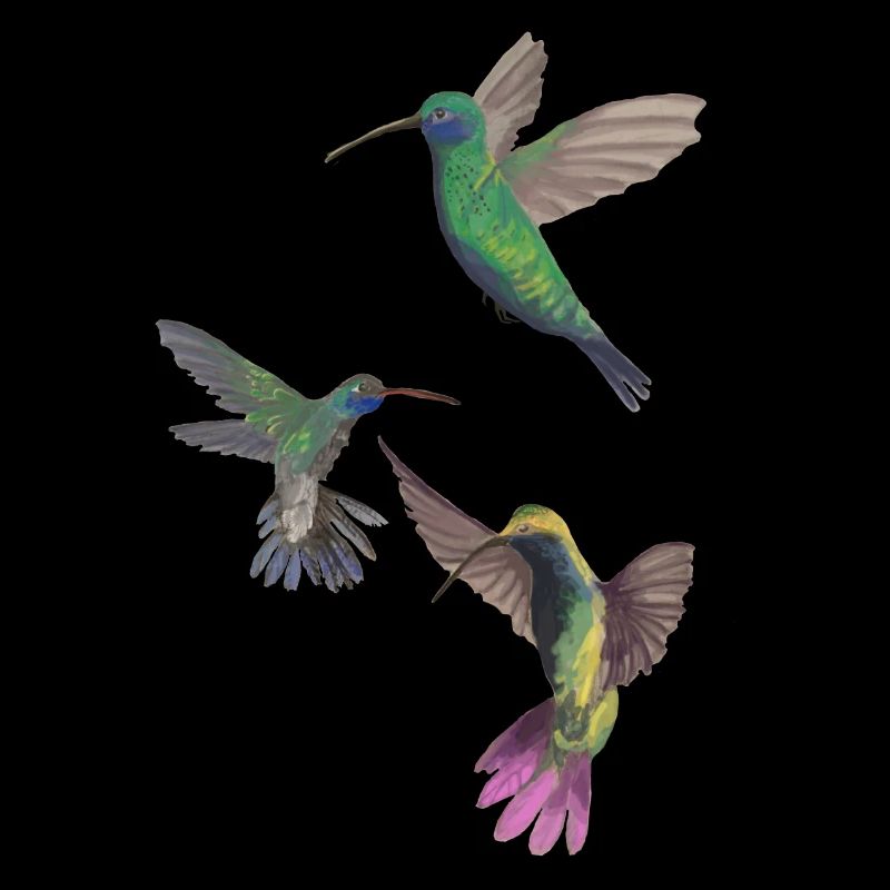 KOLIBRIS