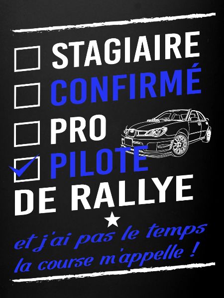 Pilote de rallye