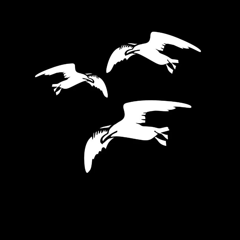 Oiseaux Oiseaux Mouettes