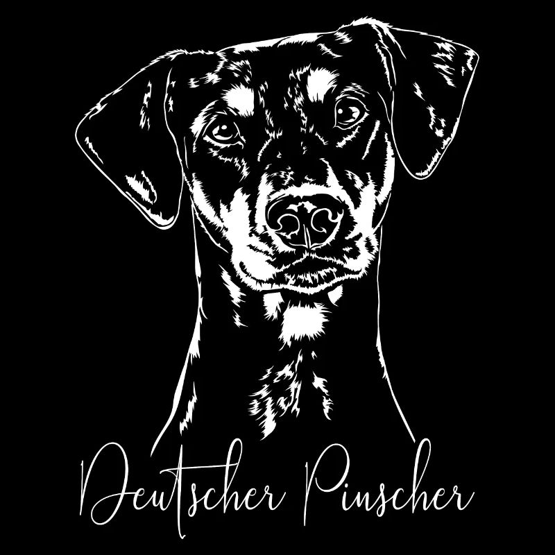 DEUTSCHER PINSCHER Hund Hunde Wilsigns Hunderasse