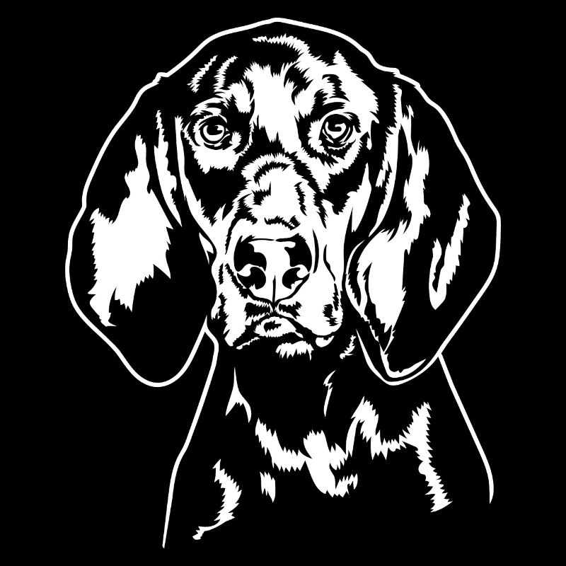 BLACK AND TAN COONHOUND Chiens de chasse Wilsigns